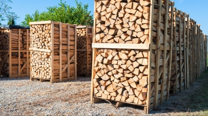 Odkup lesne biomase
